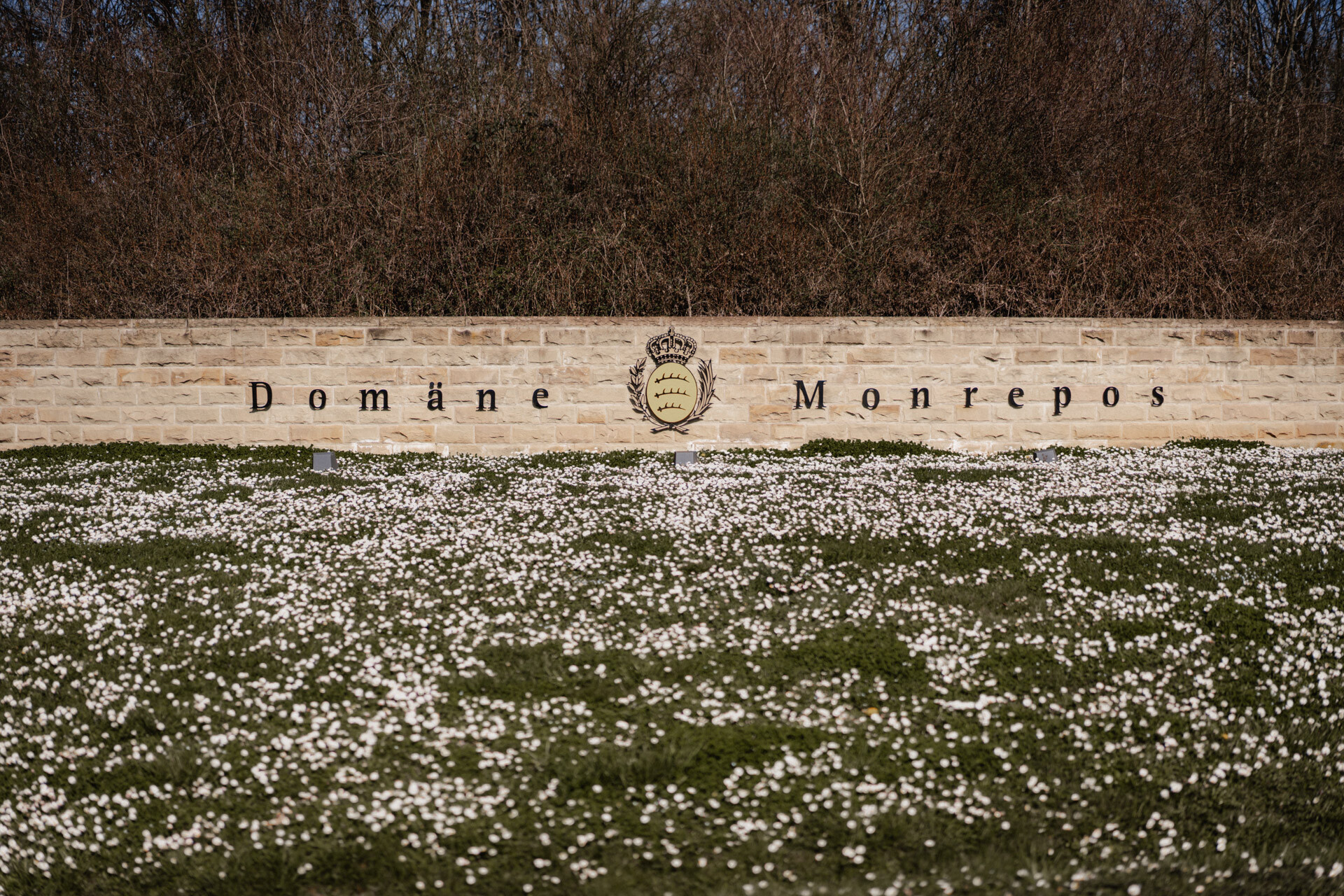 Bild der Domäne Schloss Monrepos