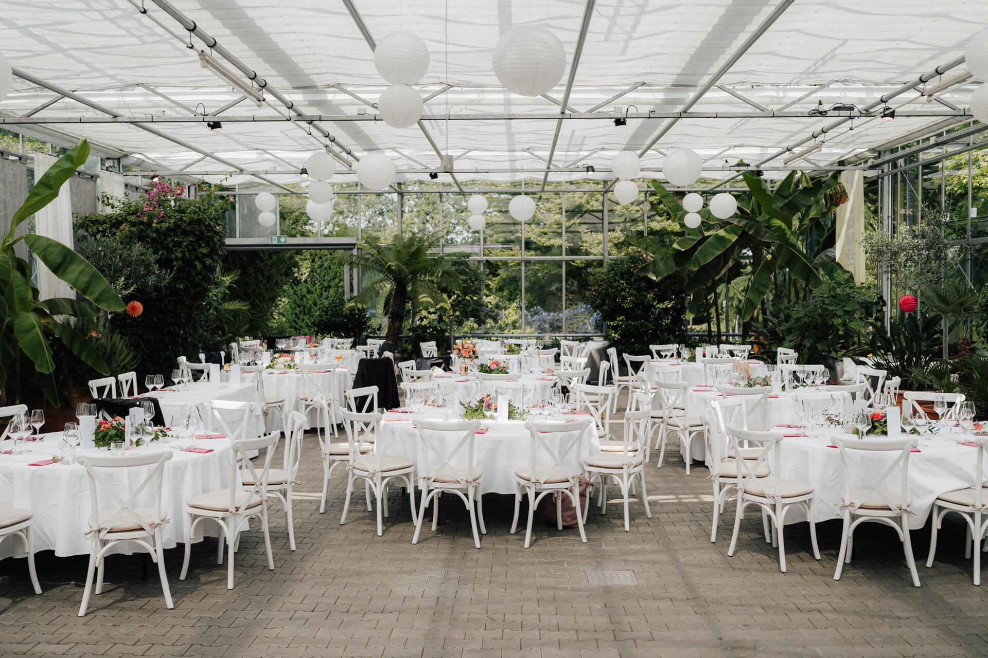 Ein heller Plangarten Leinfelden Echterdingen im Gewächshaus für eine Gewächshaus-Hochzeit, mit runden Tischen mit weißen Tischdecken, weißen Stühlen, eleganten Tischen, üppigem Grün und weißen Papierlaternen, die von der Decke hängen.