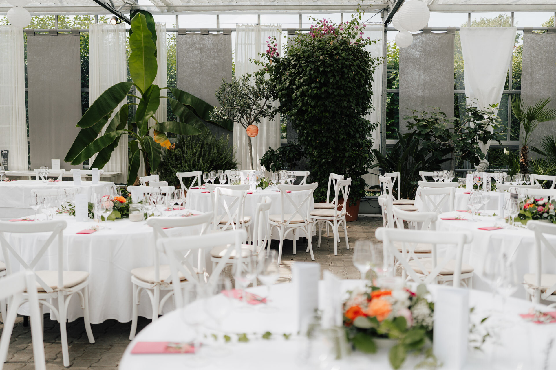 Ein heller Veranstaltungsraum im Gewächshaus Hochzeit Plangarten Leinfelden-Echterdingen bietet runde Tische mit weißen Tüchern, eleganten Blumen, Glaswaren, weißen Stühlen und üppigen Grünpflanzen, die eine romantische Atmosphäre schaffen.