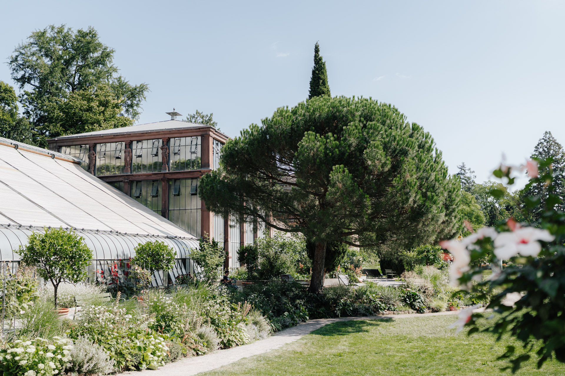 Ein üppiger Garten mit verschiedenen grünen Pflanzen und Bäumen umgibt das Gewächshaus von Hochzeit Tante Polly Karlsruhe, dessen Glaswände unter einem klaren blauen Himmel und einem hohen, belaubten Baum im Vordergrund glitzern.