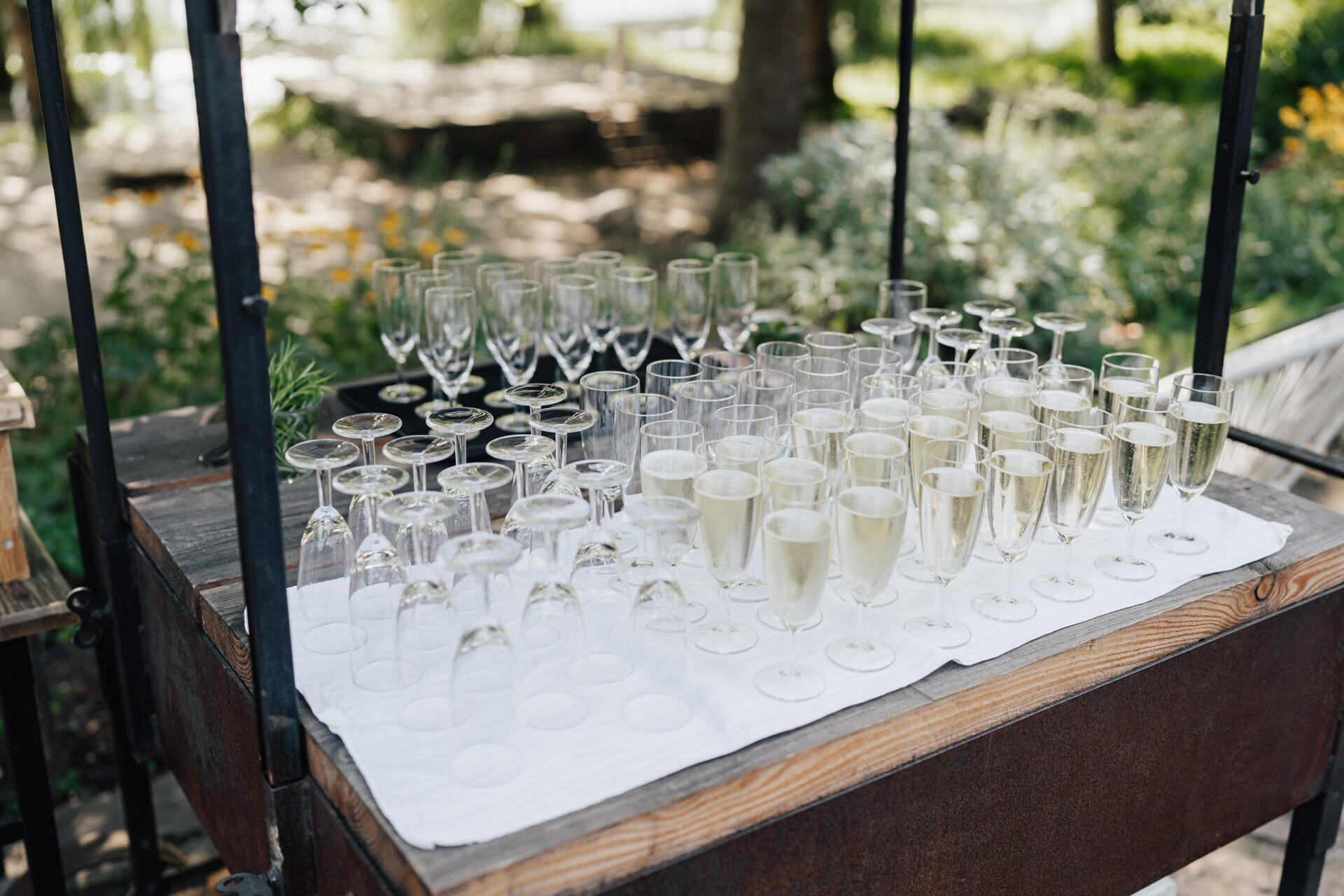 Bei einer Hochzeit bei Tante Polly Karlsruhe stehen auf einem Tisch im Freien viele Sektflöten, teils mit Sekt gefüllt, teils leer, fein säuberlich aufgereiht auf einem weißen Tuch, im Hintergrund ist Grünzeug zu sehen.