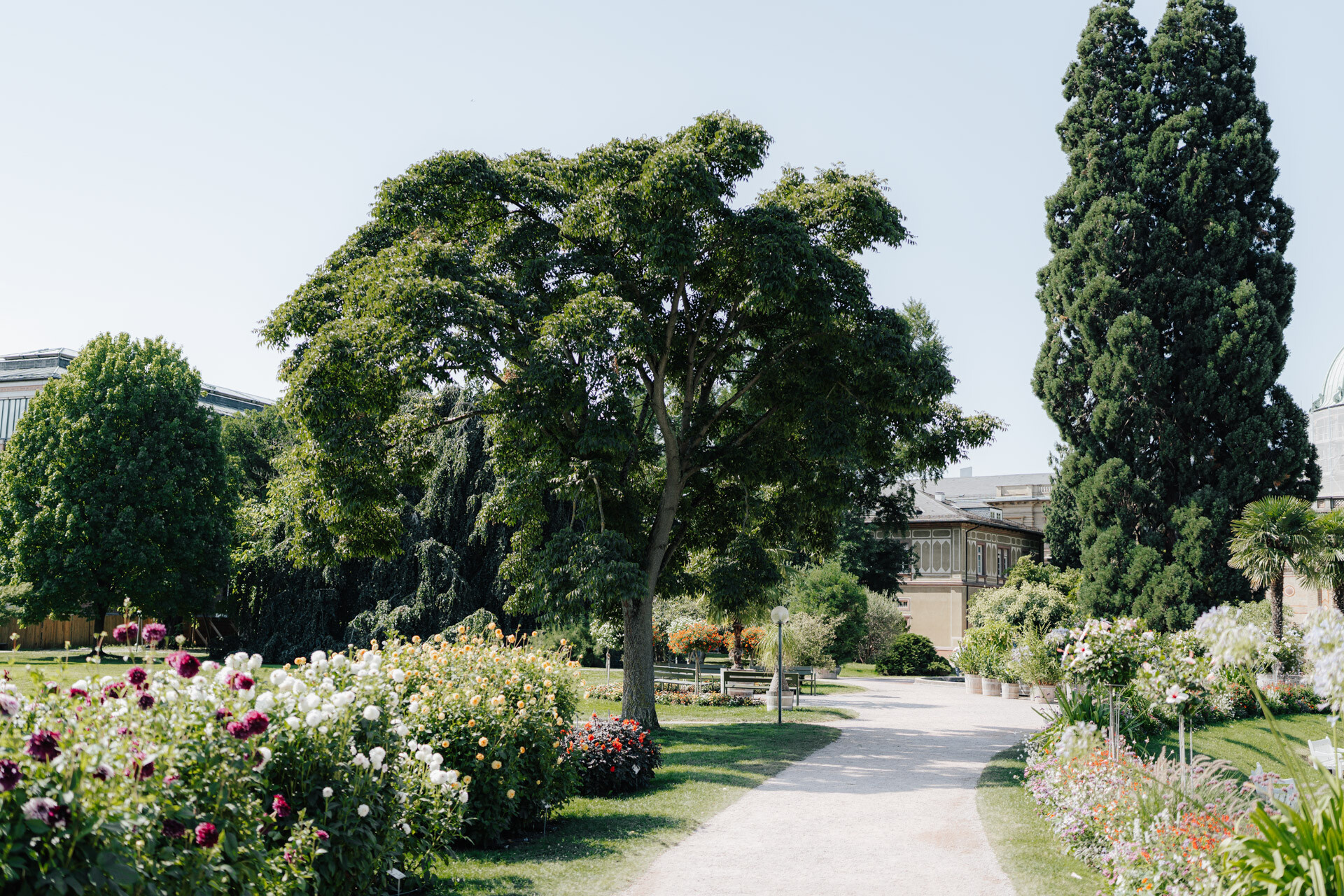 Eine sonnige Parkszene in Karlsruhe mit einem Kiesweg, der sich durch üppig grüne Bäume, bunte Blumenbeete und Bänke schlängelt - perfekt für eine Hochzeit oder einen Spaziergang zu Tante Polly. Im Hintergrund sind Gebäude bei klarem Himmel zu sehen.